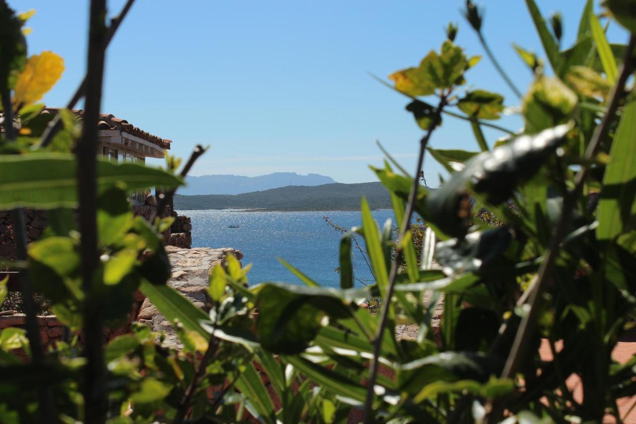Appartamento A Porto Rotondo - Villaggio Punta Volpe - Iun S5393 エクステリア 写真