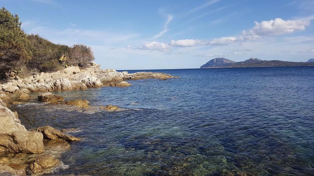 Appartamento A Porto Rotondo - Villaggio Punta Volpe - Iun S5393 エクステリア 写真