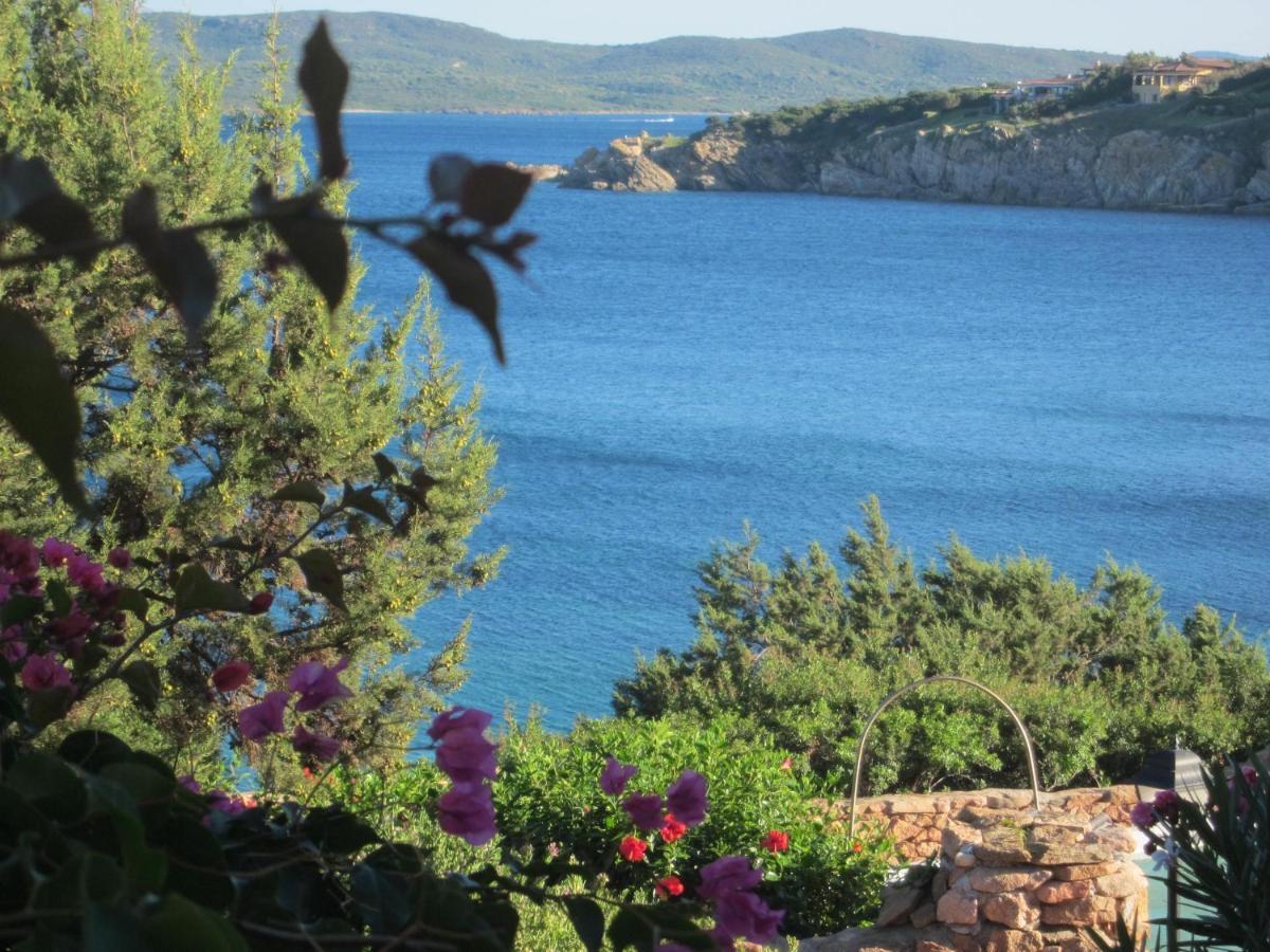 Appartamento A Porto Rotondo - Villaggio Punta Volpe - Iun S5393 エクステリア 写真