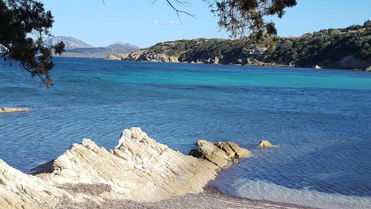 Appartamento A Porto Rotondo - Villaggio Punta Volpe - Iun S5393 エクステリア 写真